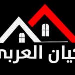 الكيان العربى